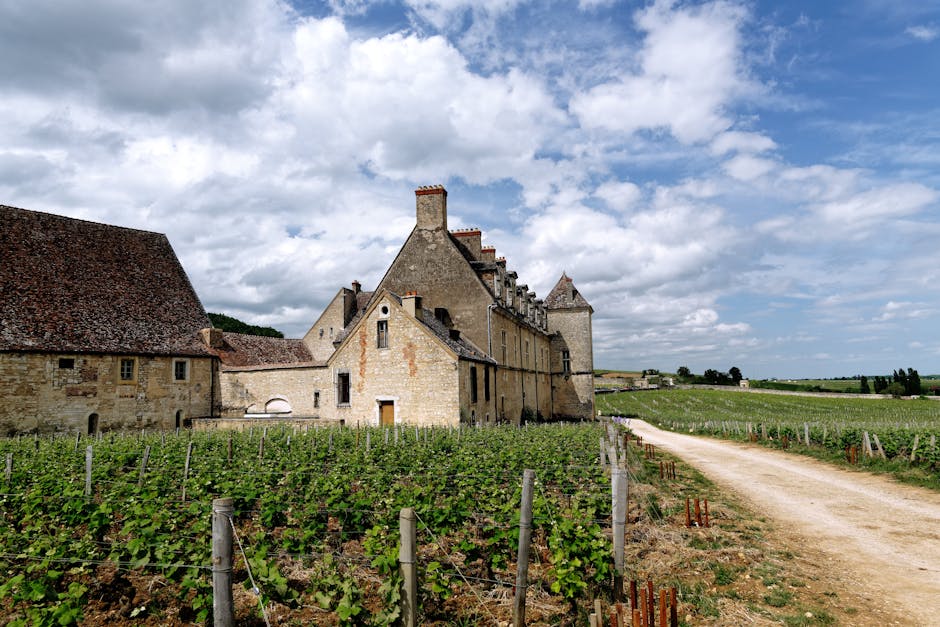 Château de Vougeot amid lush Burgundy vineyards under a bright sky.